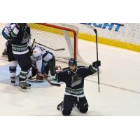 Florida Everblades vs. Orlando Solar Bears