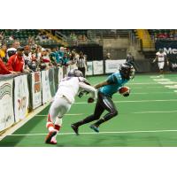 St. Louis Attack vs. Bloomington Edge