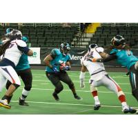 St. Louis Attack vs. Bloomington Edge