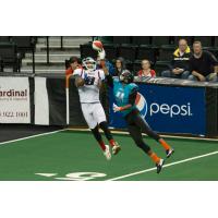 St. Louis Attack vs. Bloomington Edge