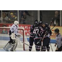 South Carolina Stingrays Celebrate Goal vs. Evansville IceMen