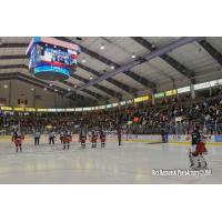 Elmira Jackals vs. Wheeling Nailers