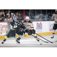 Chicago Wolves vs. Iowa Wild