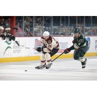 Chicago Wolves vs. Iowa Wild