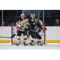Chicago Wolves vs. Iowa Wild