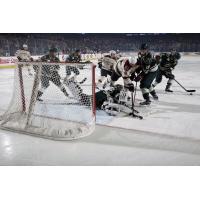 Chicago Wolves vs. Iowa Wild