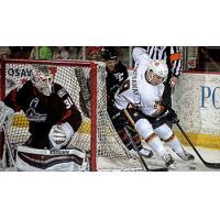 Lake Erie Monsters vs. Adirondack Flames