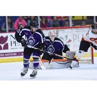 Reading Royals vs. Indy Fuel