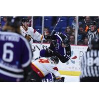 Reading Royals vs. Indy Fuel