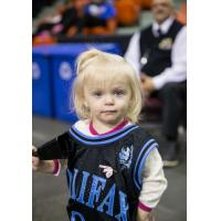 Halifax Rainmen Fan