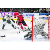 Everett Silvertips vs. Portland Winterhawks