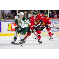 Everett Silvertips vs. Portland Winterhawks