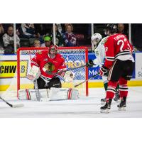 Everett Silvertips vs. Portland Winterhawks