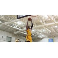Los Angeles D-Fenders Guard Vander Blue