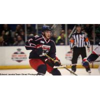 Forward Marko Dano of the SpringfieldFalcons