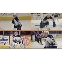 Greenville Road Warriors Called up to AHL