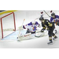 Youngstown Phantoms Goaltender Chris Birdsall