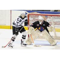 Youngstown Phantoms Goaltender Chris Birdsall
