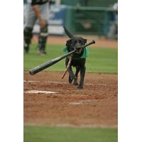 Miss Babe Ruth
