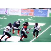 Texas Revolution in Action