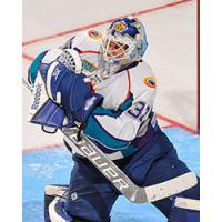 Orlando Solar Bears in Action