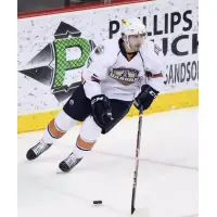 Oklahoma City Barons in Action