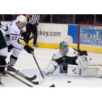 Texas Stars vs. San Antonio Rampage