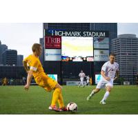 Hounds at Highmark Stadium