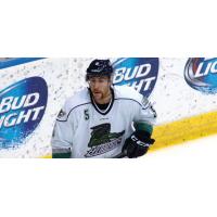 Florida Everblades Defenseman Mike Little