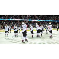 Lake Erie Monsters Salute Fans