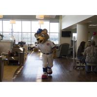 South Bend Cubs Mascot Stu at Michiana Hematology Oncology