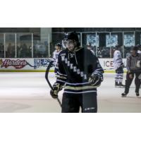 Former Muskegon Lumberjack Cameron Darcy