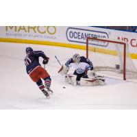 St. John's IceCaps vs. Springfield Falcons