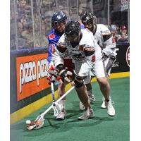 New England Black Wolves at Toronto Rock