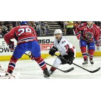 Lake Erie Monsters vs. Hamilton Bulldogs