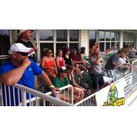 A Suite at the Kannapolis Intimidators Game