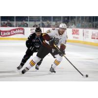 Chicago Wolves vs. Milwaukee Admirals