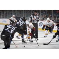 Chicago Wolves vs. Milwaukee Admirals