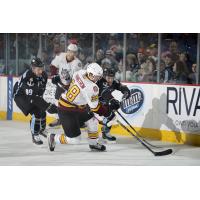 Chicago Wolves vs. Milwaukee Admirals