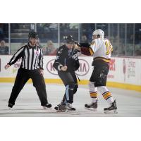 Chicago Wolves vs. Milwaukee Admirals