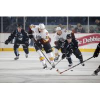 Chicago Wolves vs. Milwaukee Admirals