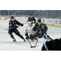 Chicago Wolves vs. Milwaukee Admirals