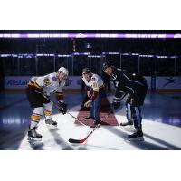 Chicago Wolves vs. Milwaukee Admirals