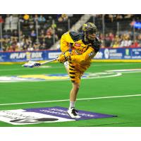 Minnesota Swarm in Action