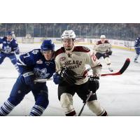 Chicago Wolves vs. Toronto Marlies