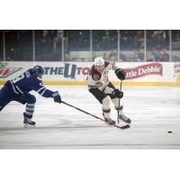 Chicago Wolves vs. Toronto Marlies