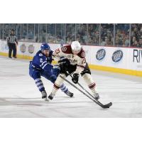 Chicago Wolves vs. Toronto Marlies