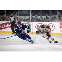 Chicago Wolves vs. Toronto Marlies