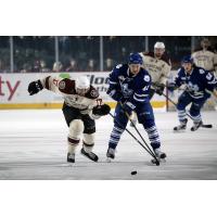 Chicago Wolves vs. Toronto Marlies