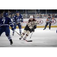 Chicago Wolves vs. Toronto Marlies